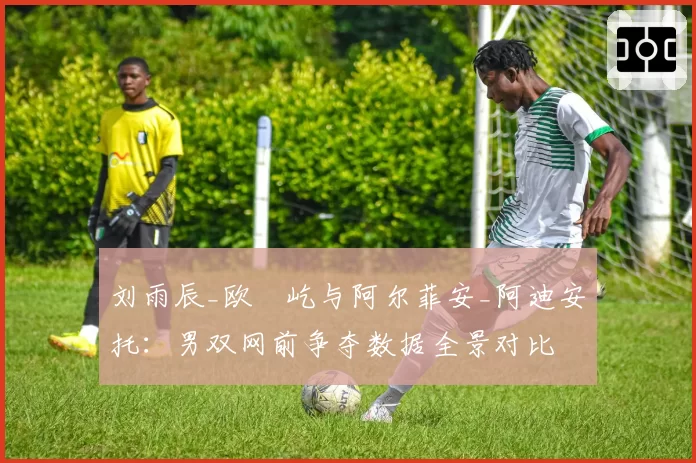 刘雨辰_欧烜屹与阿尔菲安_阿迪安托：男双网前争夺数据全景对比