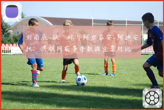 刘雨辰_欧烜屹与阿尔菲安_阿迪安托：男双网前争夺数据全景对比